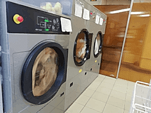 Оборудование химчистки 