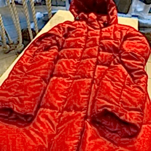 Пуховик до химчистки