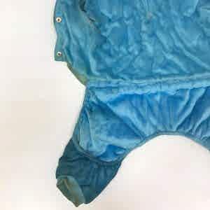 Химчистка одежды для собаки