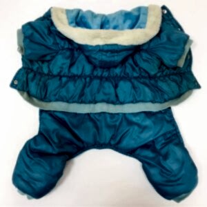 Химчистка одежды для собаки